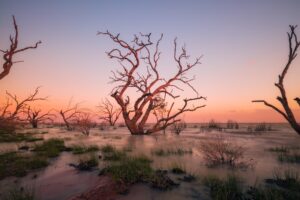 Menindee Lake