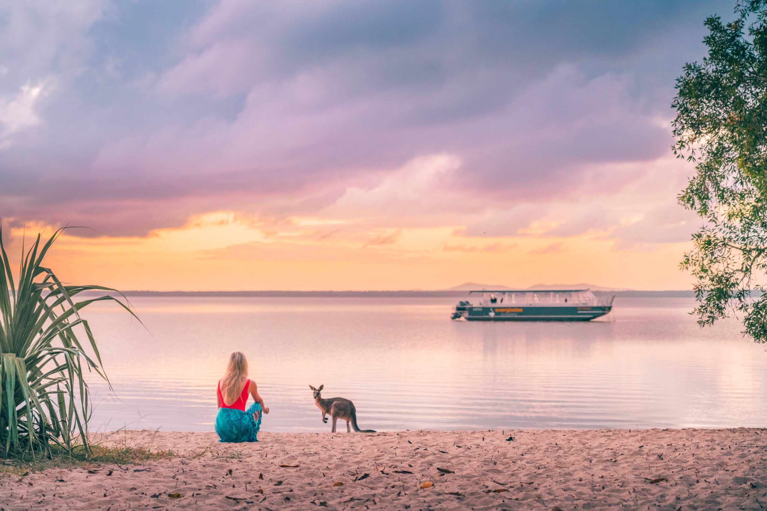 Lake Cootharaba and kangaroos